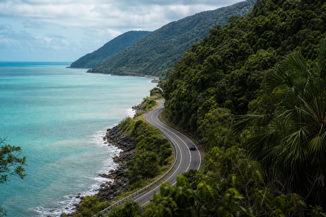 The Daintree Rainforest in Far North Queensland