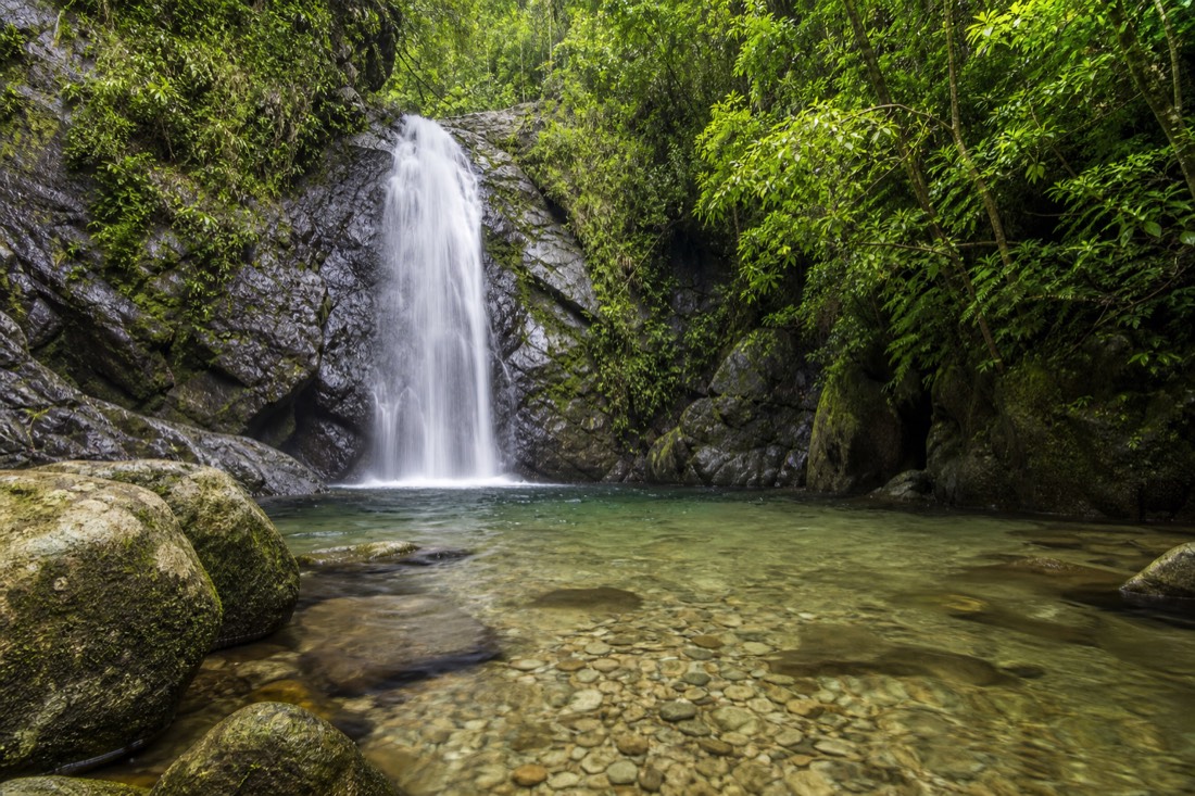 The Daintree Rainforest in Far North Queensland