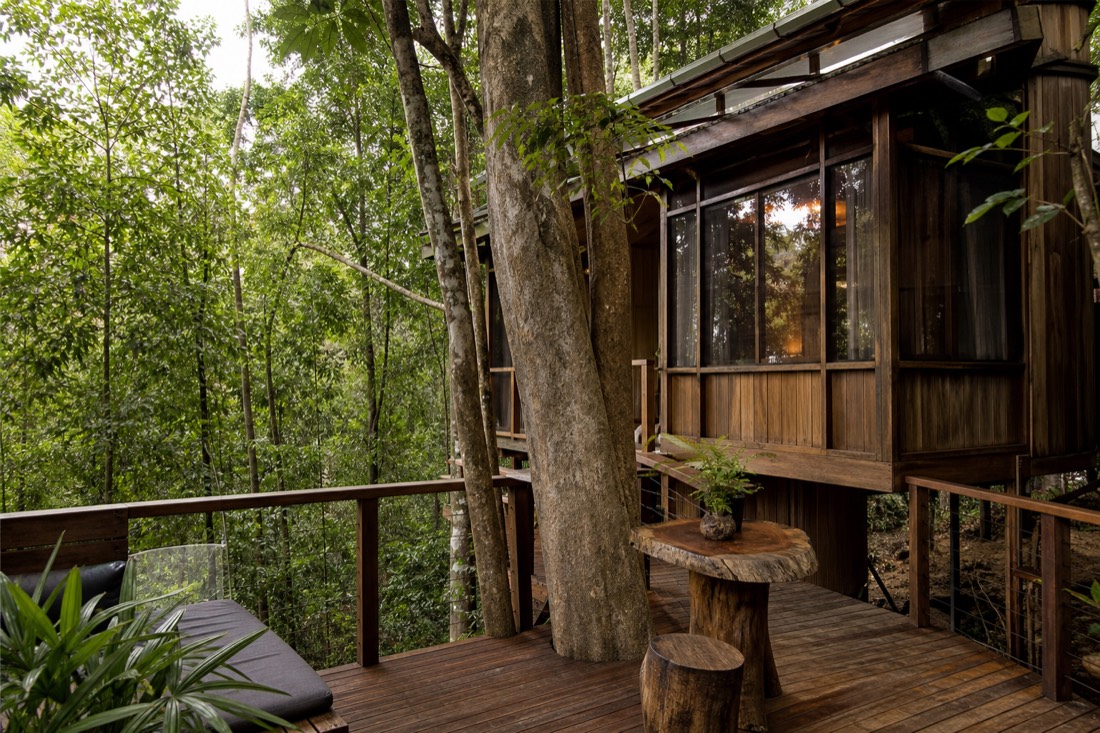 The Daintree Rainforest in Far North Queensland