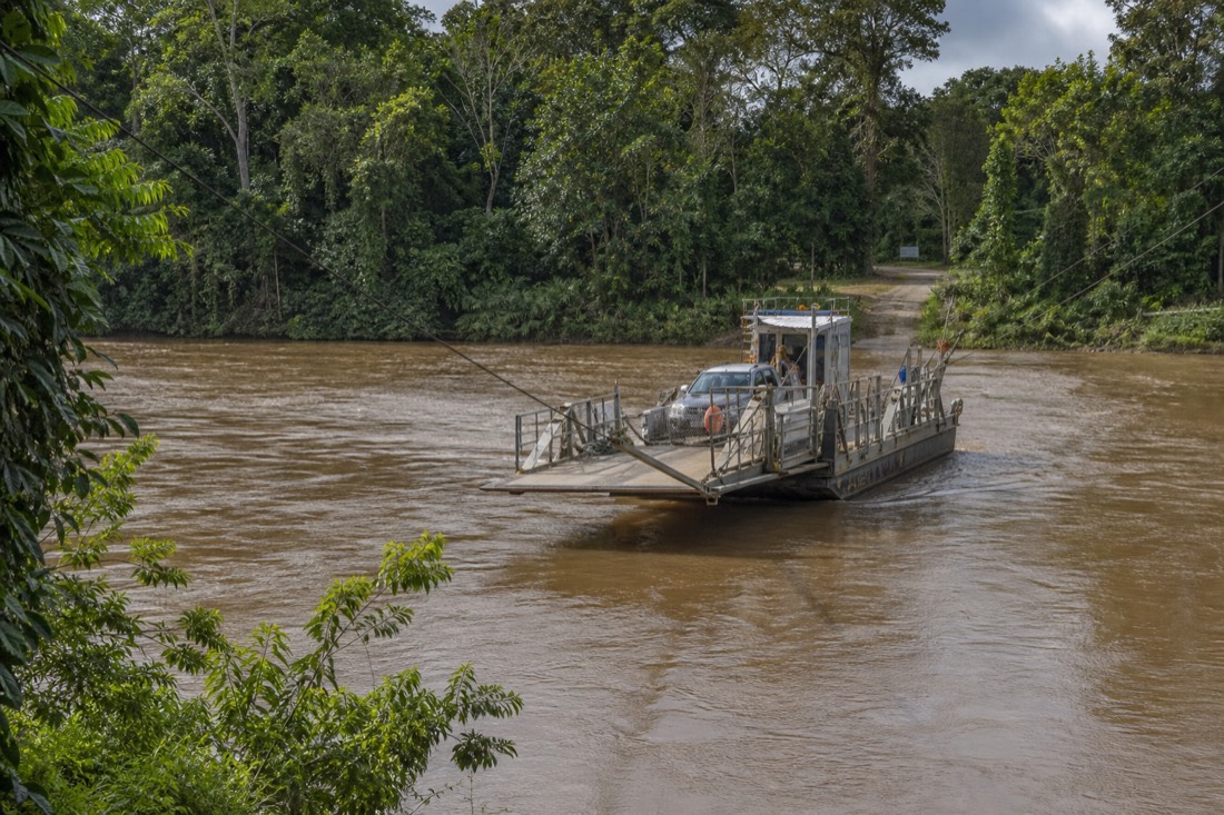 The cable ferry crossing the Daintree River