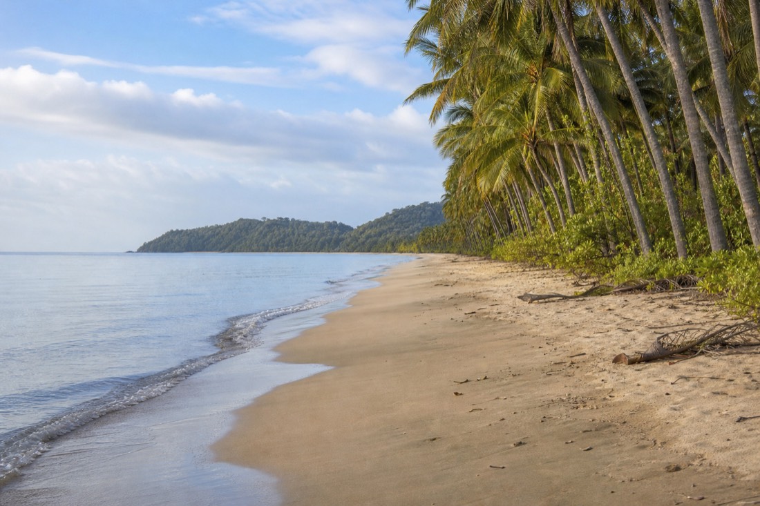 The Daintree Rainforest in Far North Queensland