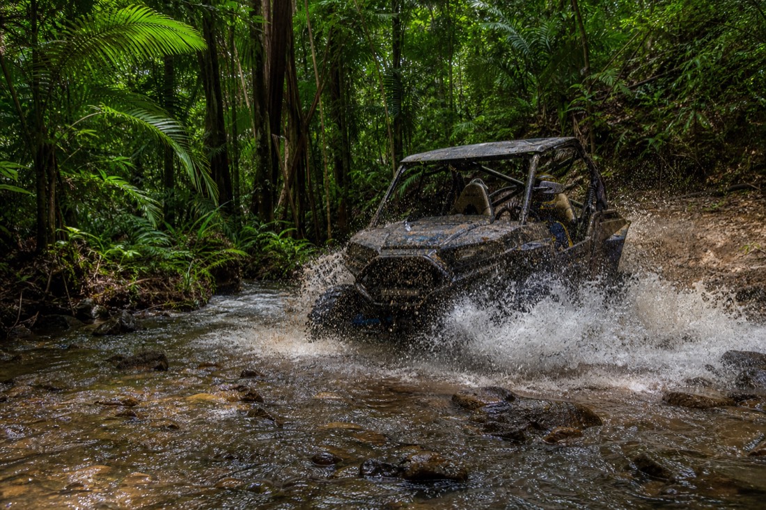 The Daintree Rainforest in Far North Queensland