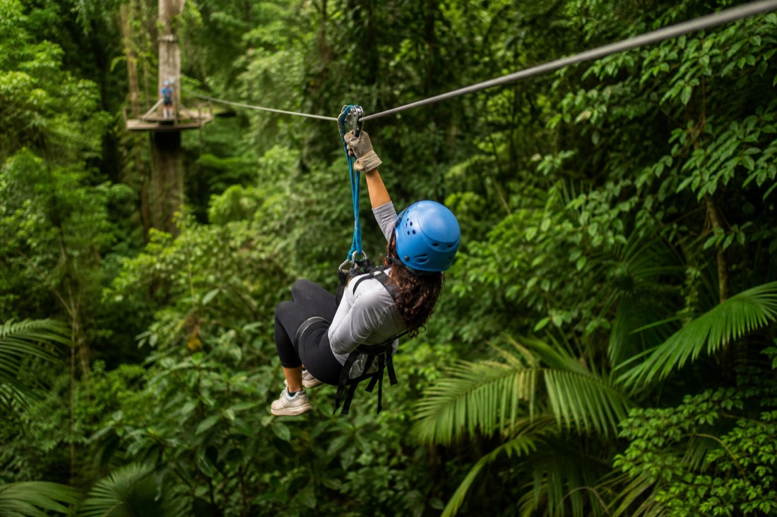 The Daintree Rainforest in Far North Queensland