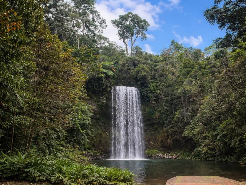 Cairns 2-Day Waterfall & Daintree Rainforest Tour