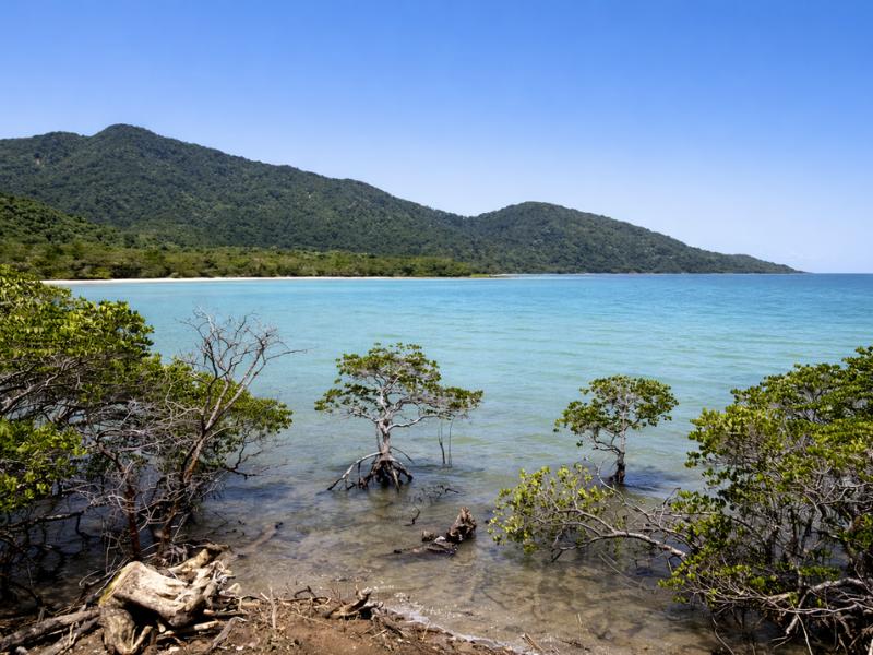 Cairns to Daintree & Cape Tribulation 4WD Adventure Tour
