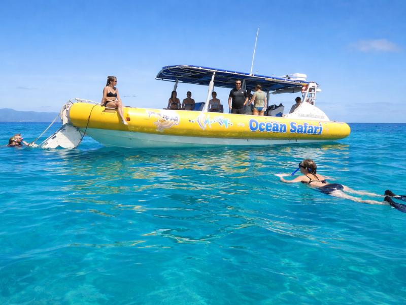 Cape Tribulation Ocean Safari – Great Barrier Reef Snorkel Adventure