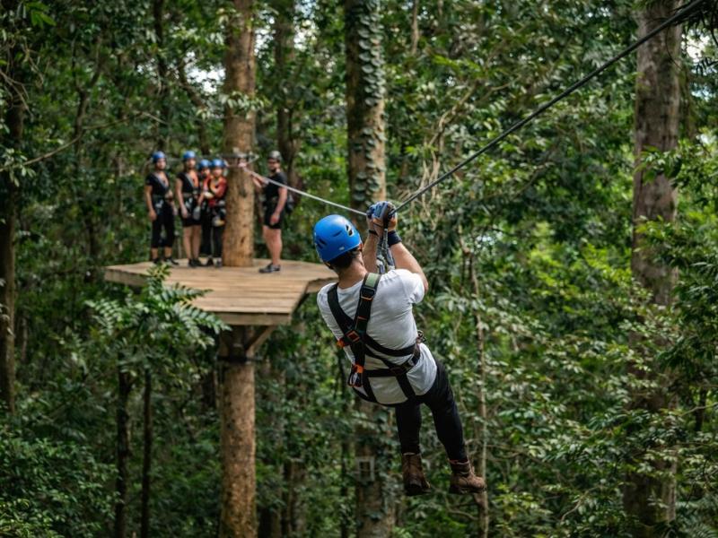 Cape Tribulation Treetops Ziplining Experience