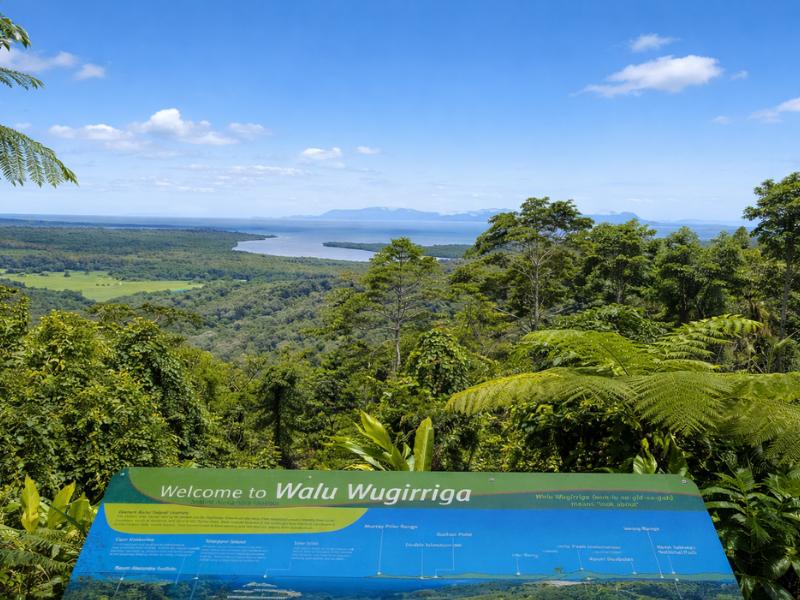 Daintree Rainforest & Mossman Gorge Small-Group Tour from Port Douglas