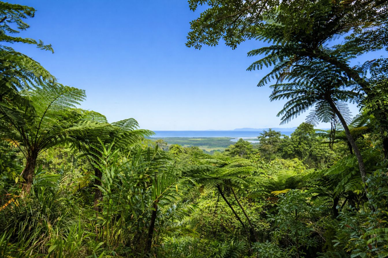 Daintree Rainforest Tours – Best Ancient Rainforest Adventures Queensland